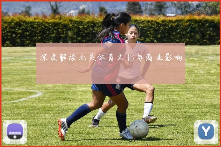 深度解读北美体育文化与商业影响