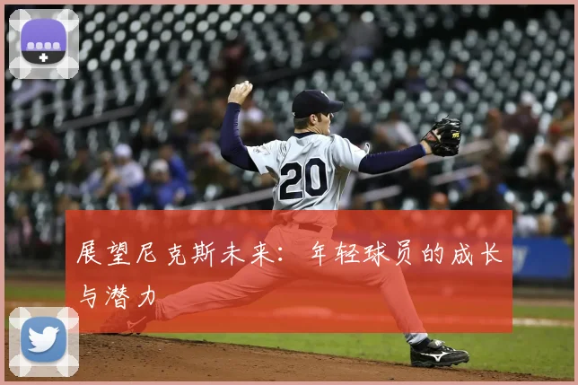 展望尼克斯未来:年轻球员的成长与潜力